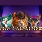 the catfather